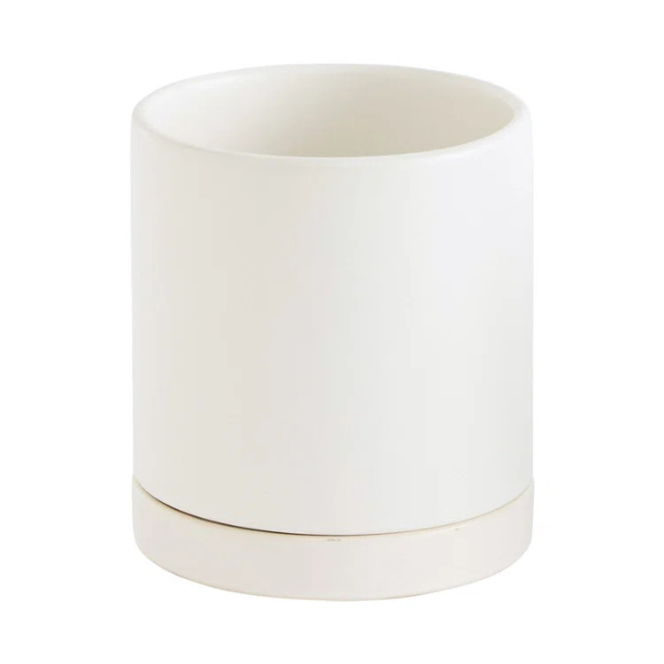 Carlotta Ceramic Pot Planter | Wayfair North America