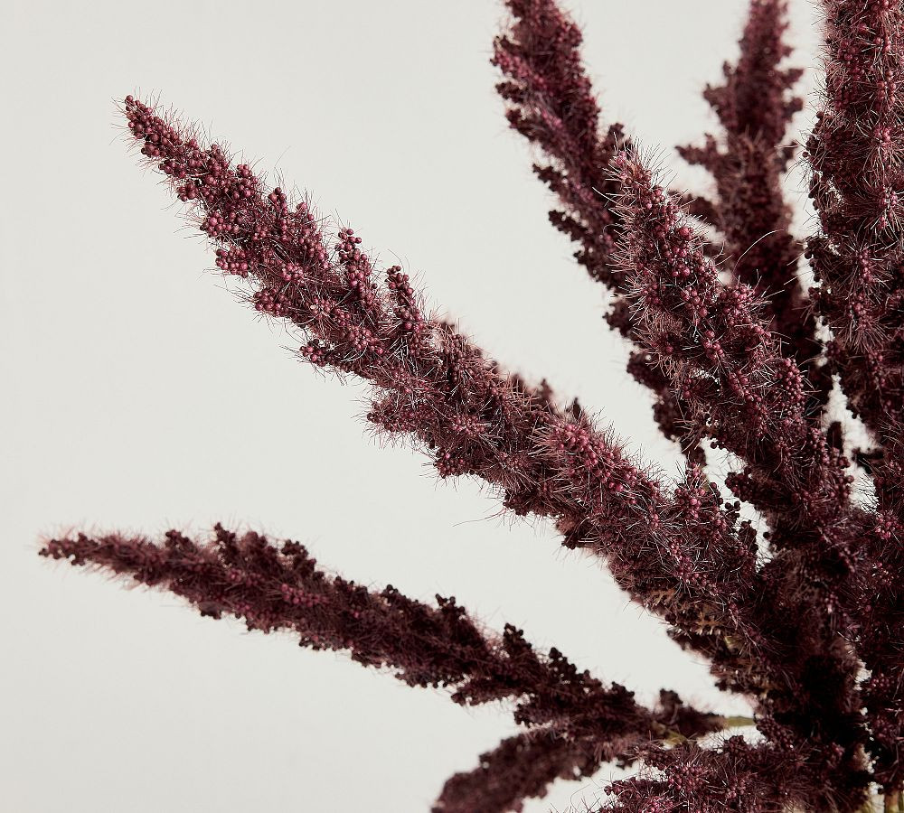 Faux Burgundy Millet Bundle | Pottery Barn (US)