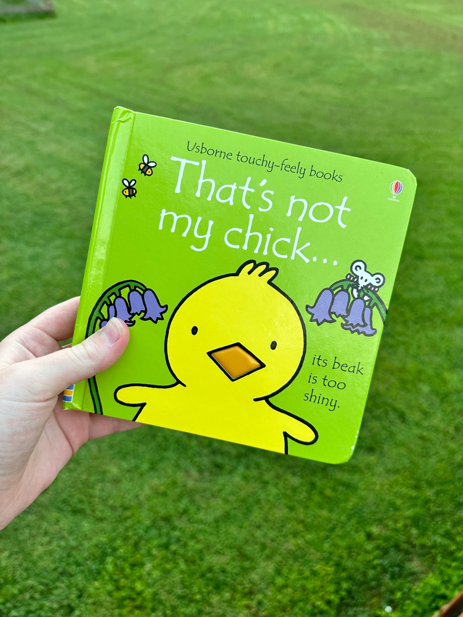 Cute chicken books for babies & kids!

#LTKkids #LTKfamily #LTKunder50