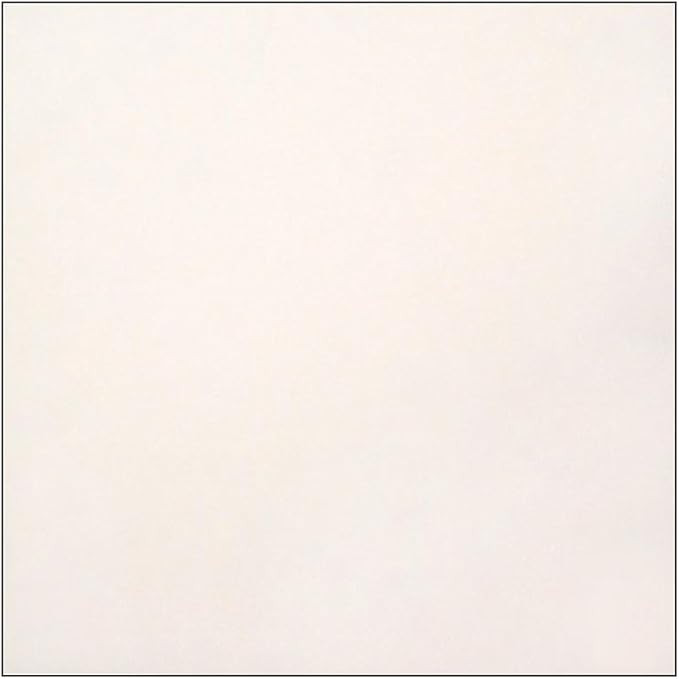 Sew Easy Industries 12-Sheet Velvet Paper, 12 by 12-Inch, Coconut | Amazon (US)