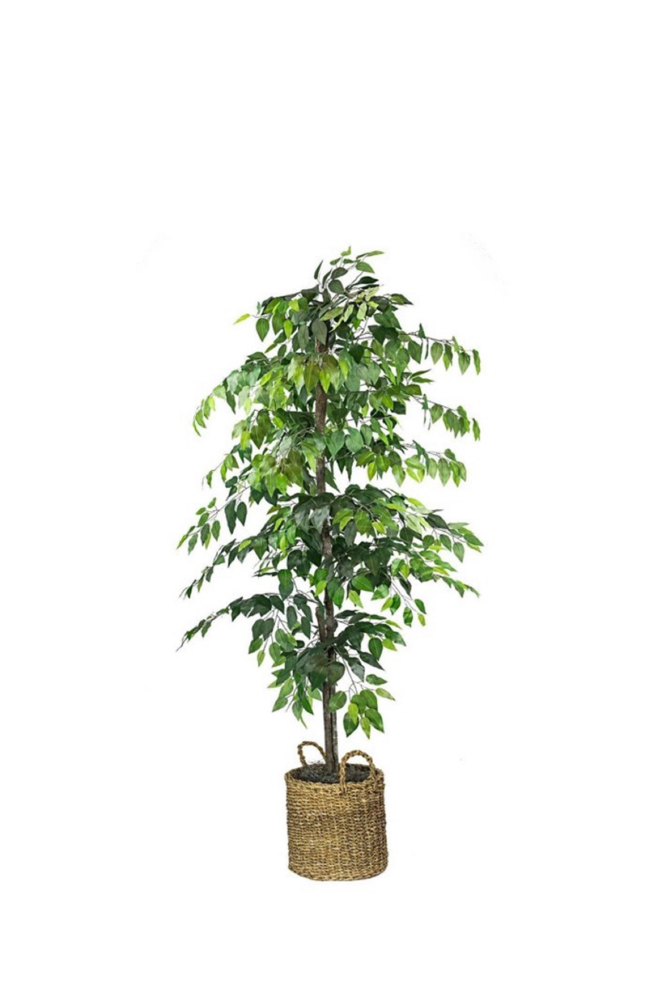 Artificial ficus tree 

#target #targethome #home #trees #artificialtree #homedecor 

#LTKsalealert #LTKhome #LTKSpringSale
