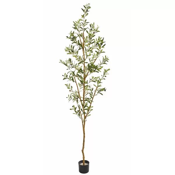 Faux Olive Tree in Planter | Wayfair North America