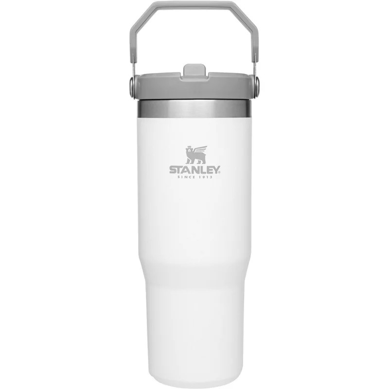 Stanley The IceFlow 30 oz Classic Flip Straw Tumbler Polar - Thermos/Cups &koozies at Academy Sports | Academy Sports + Outdoors