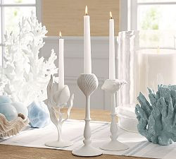 Nautilus Shell - 8.75"H    Clearance $9.97$49.50  80% Off              SKU: 9548595 | Pottery Barn (US)