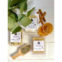 Pure Beeswax Wax Melts Essential Oil Aromatherapy | Etsy (US)