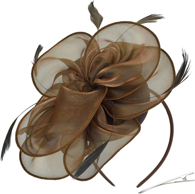 DRESHOW Fascinators Hat Tea Party Headwear Ribbons Feathers on a Headband and a Clip for Girls an... | Amazon (US)