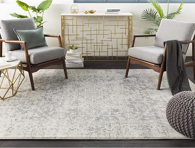 Janine Gray and Beige Updated Traditional Area Rug 5'3" x 7'3 | Amazon (US)
