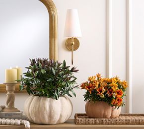 Terracotta Pumpkin Cachepot | Pottery Barn (US)