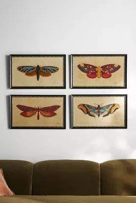 Crackled Moth Wall Art | Anthropologie (US)