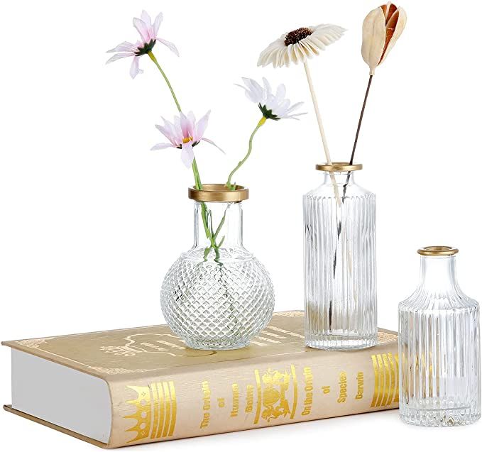 DN DECONATION Small Single Vase for Centerpieces Set of 3, Glass Gold Bud Vase in Bulk, Decorativ... | Amazon (US)