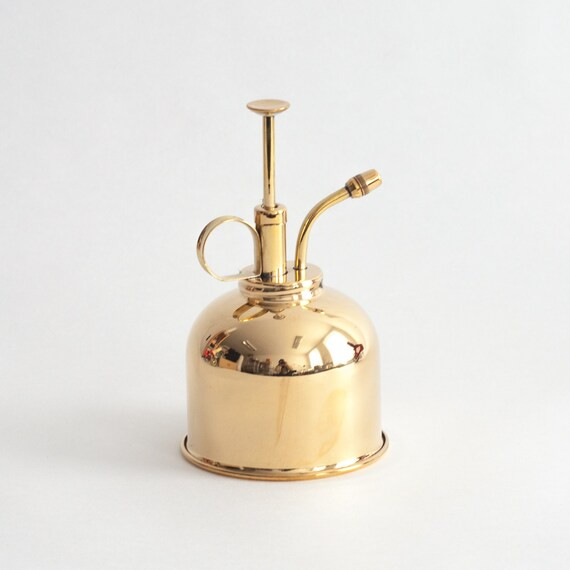 Plant spray water spray water mister air plants mister | Etsy | Etsy (US)