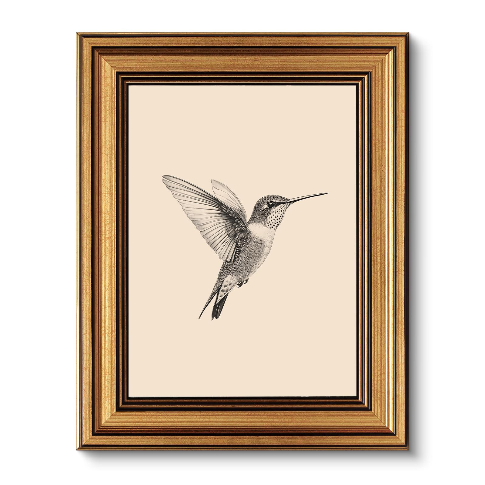 VIYYIEA Vintage Gold Framed Wall Art for Living Room, Birds Canvas Prints Home Decor, Sketch Pain... | Amazon (US)