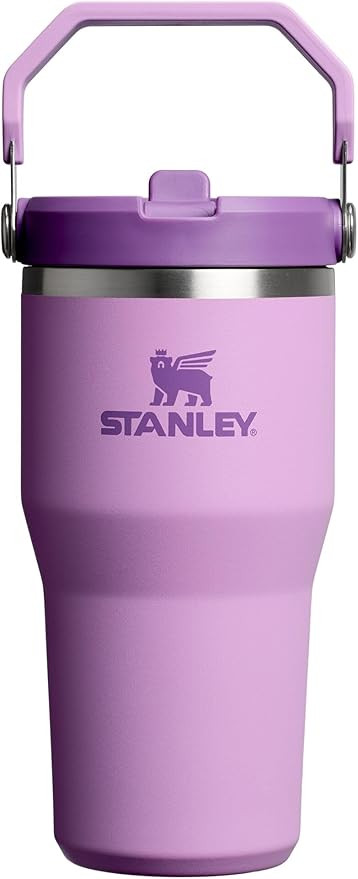 STANLEY IceFlow 2.0 Flip Straw Tumbler with Handle 20 oz | Twist On Lid and Flip Up Straw | Leak ... | Amazon (US)