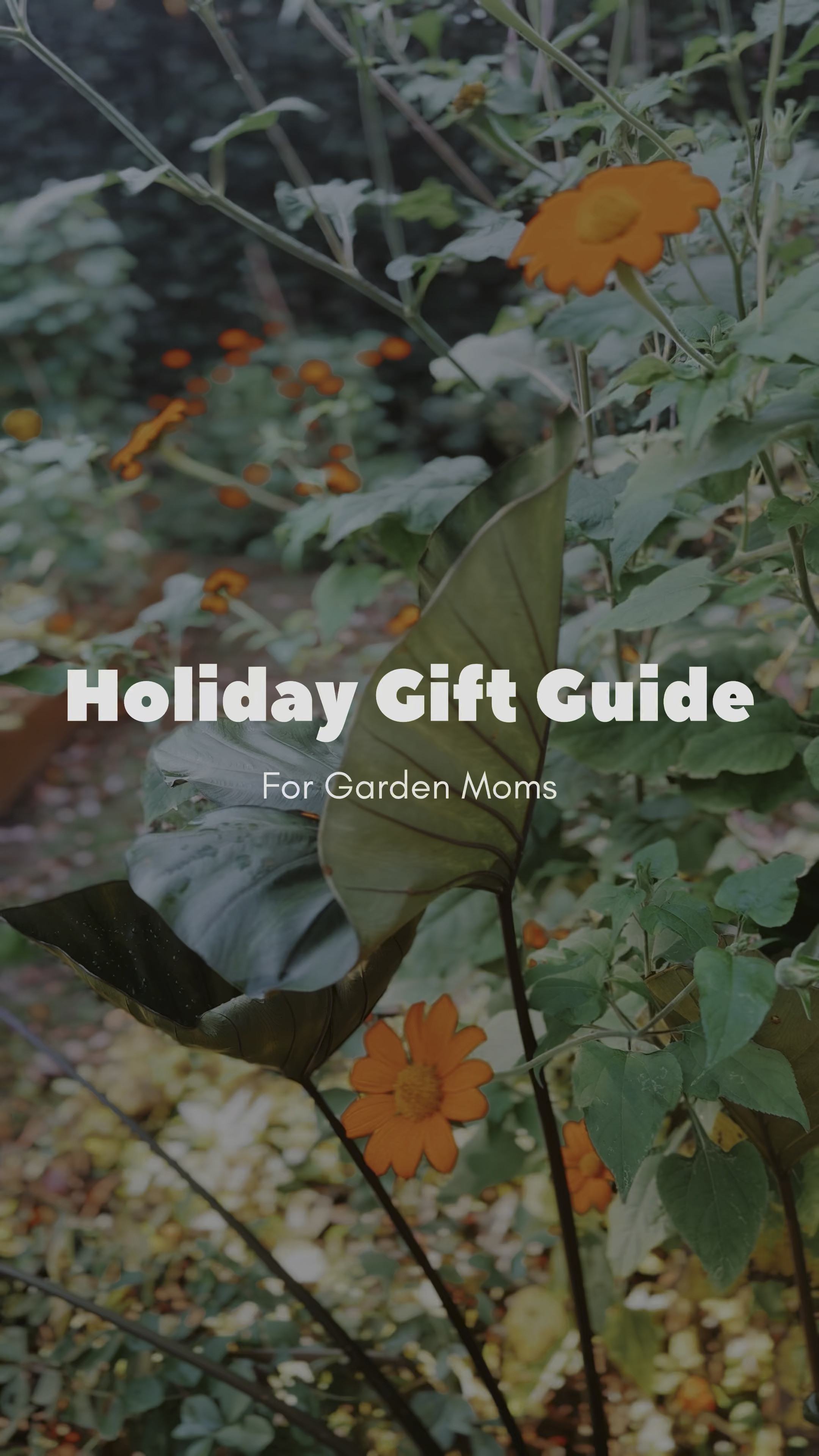 Looking for the perfect gift for the plant lover in your life? I’ve rounded up my favorite finds for garden enthusiasts of all levels! From stylish planters and tools to unique seed kits and cozy greenhouse essentials, this gardener gift guide has something for everyone who loves to get their hands in the dirt. Head to my LTK to shop these picks and get ready to make their garden dreams bloom this holiday season! 🌿🎁

#GardenerGiftGuide #LTKGiftGuide #GiftIdeas #GardeningEssentials #PlantLover

#LTKSeasonal #LTKGiftGuide #LTKHoliday