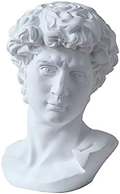 LKXHarleya 6 Inch Classic Greek Michelangelo David Bust Statue Replica Sculpture Figurine for Art... | Amazon (US)