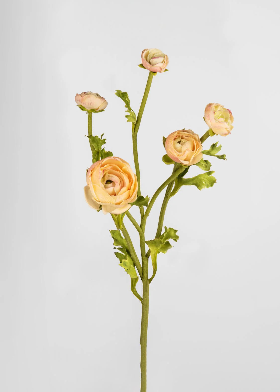 Real Touch Flowers at Afloral.com | Peach Faux Ranunculus Stem | Afloral