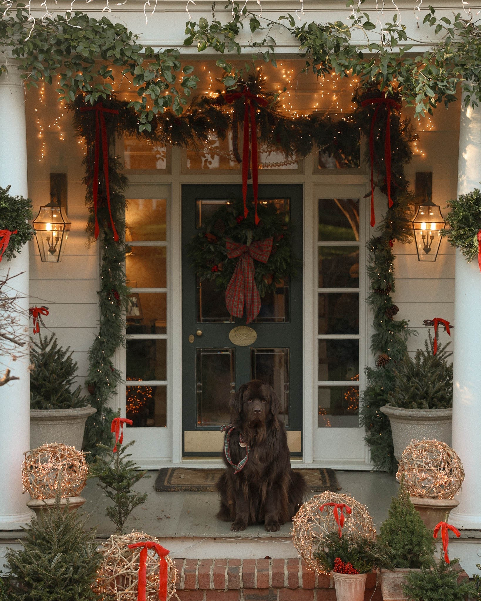 Last year’s Christmas porch deserved another moment. ✨ Linking everything to recreate the look from the garland and red bows to the glowing grapevine balls.  Classic Christmas will always be my favorite. 🎄