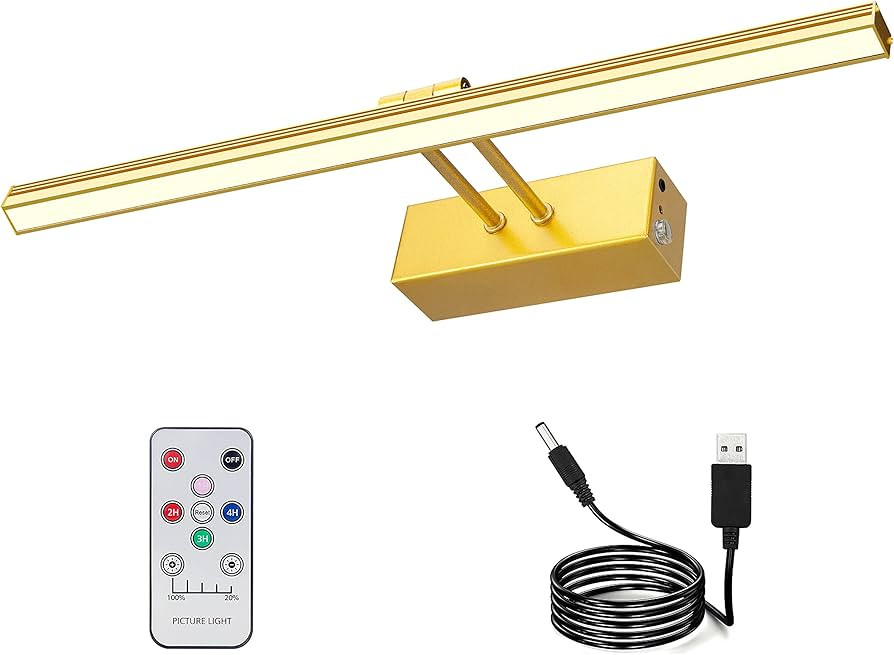 RAIFOOLLY Picture Light, 16" Metal Rechargeable Picture Lights for Paintings,Remote Control Displ... | Amazon (US)
