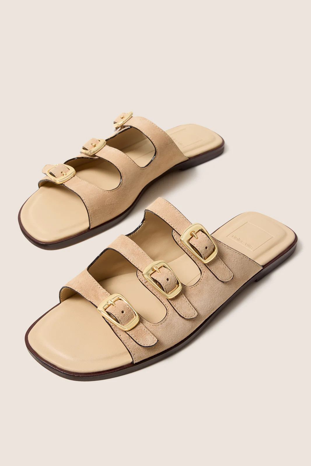 Fin Buckle Slide | Evereve