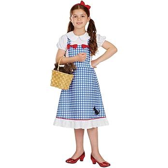 Fun Shack Dorothy Costume For Girls Fairytale Storybook Character Halloween Costumes For Girls Ki... | Amazon (US)