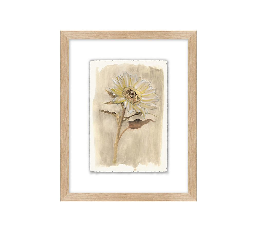 Neutral Daisy Print Wall Art | Pottery Barn (US)