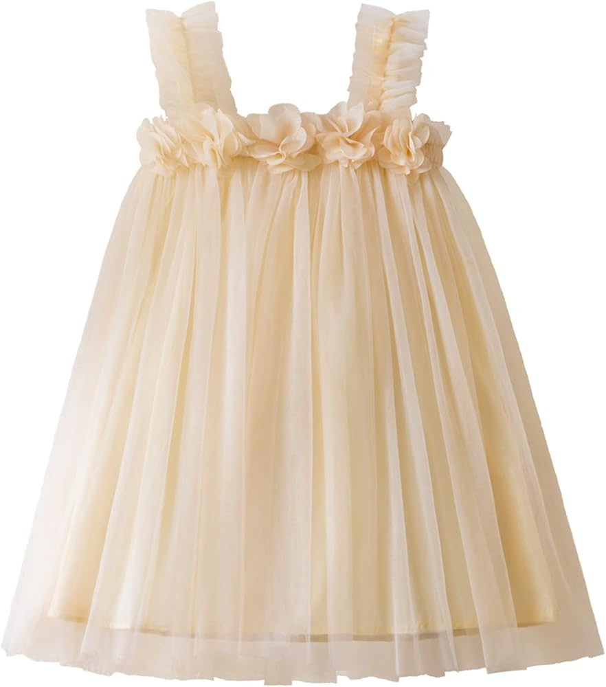 TTYAOVO Toddler Girl Tulle Dress Baby Princess Tutu Skirt | Amazon (US)