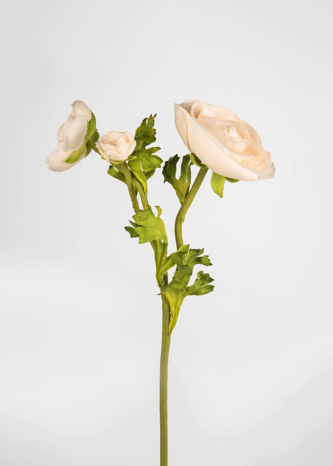 Beige Ranunculus Stem | Shop Real Touch Flowers at Afloral.com | Afloral
