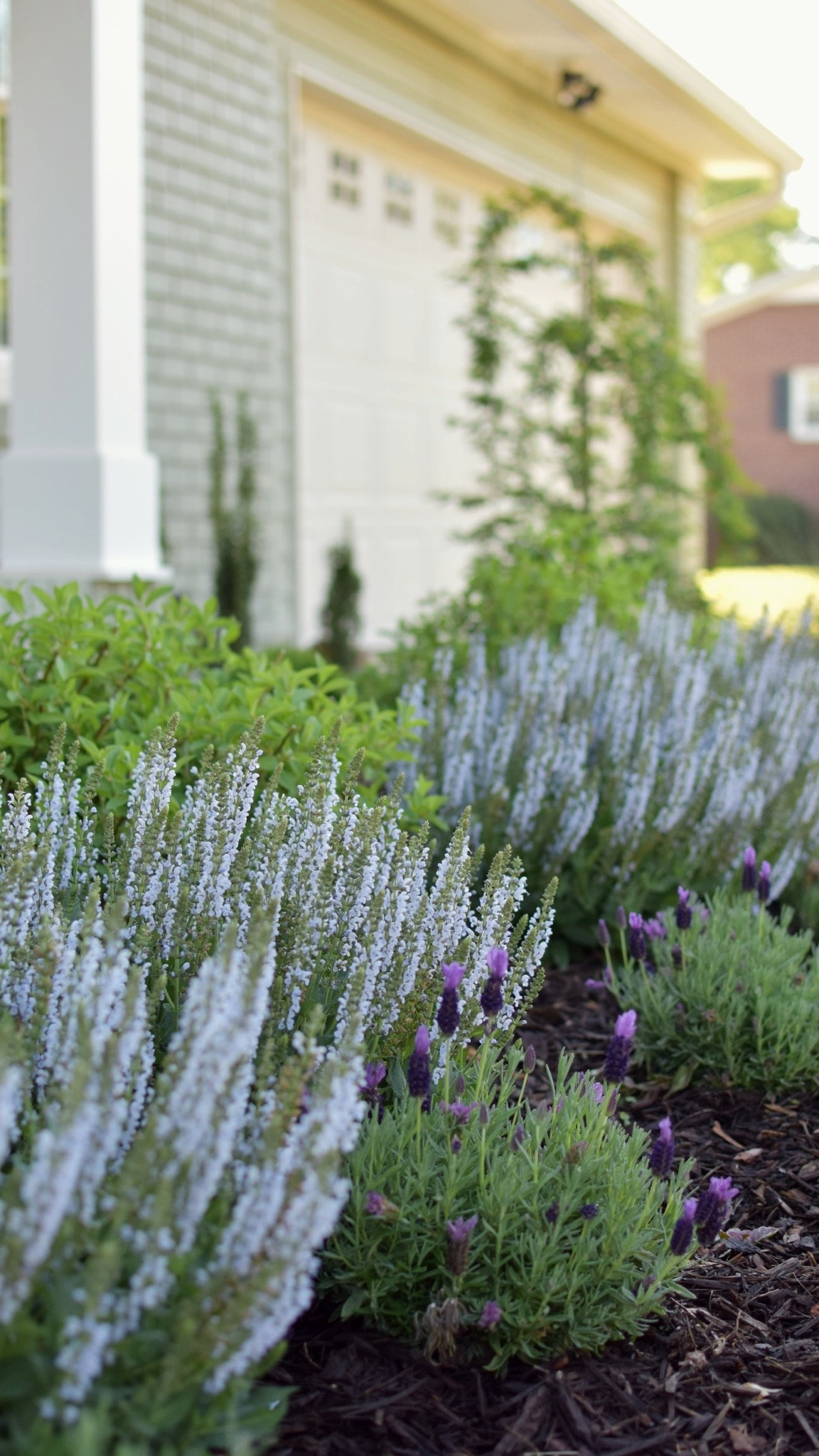 Some really great fertilizers!! If you’re just starting out — stick with an all-purpos granular. It’s almost impossible to mess up!🌷

#LTKHome #LTKSeasonal #LTKdayinmylife