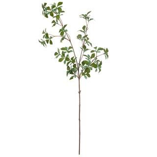 Mini Ficus Leaf Stem by Ashland® | Michaels Stores