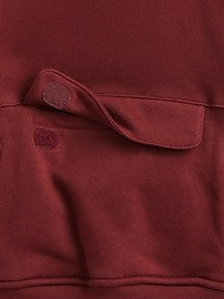 Toddler Sherpa Lined Hoodie | Gap (US)