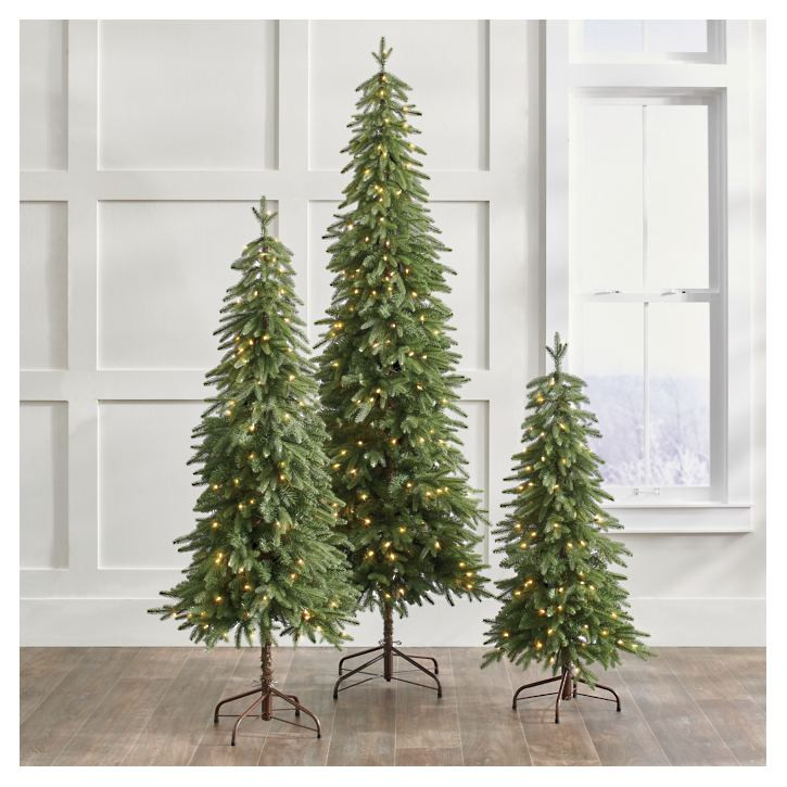 Down Swept Slim Pine Trees | Grandin Road | Grandin Road