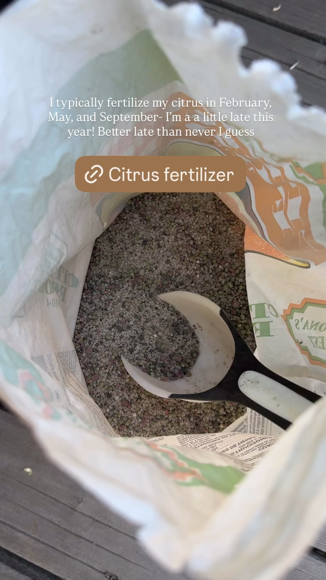 Giving my citrus trees a little love
Since I live in a colder climate, my citrus trees stay indoors most of the year and only get a few months outside in the summer. I typically fertilize in February, May, and September... but this year I'm a little late (better late than never, right?)

Keeping them fed makes such a difference in their growth, leaves, and fruit production. Linking what I use here if you're growing citrus too!
#Itkhome #Itkgarden #citrustrees #gardentips #growyourownfood #plantcare #indoorgarden #backyardgarden #Itkfinds #springgardening

#LTKHome #LTKstorytime #LTKSeasonal