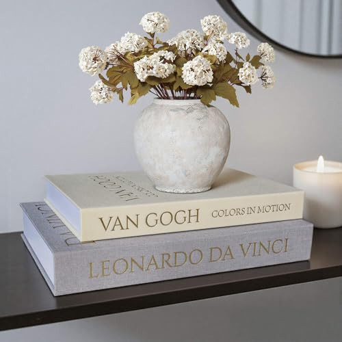 MAOBUYOU Decorative Linen Book Set of 2, Faux Book Storage Box, Coffee Table and Bookshelf Decor | Amazon (US)