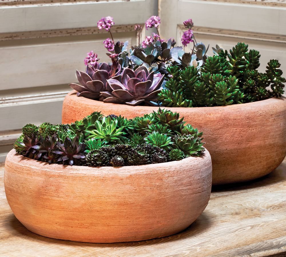 Belize Low Bowl Planter - Set of 2 | Pottery Barn (US)