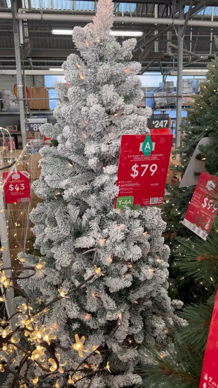 6.5 pre lit store flocked christmas tree