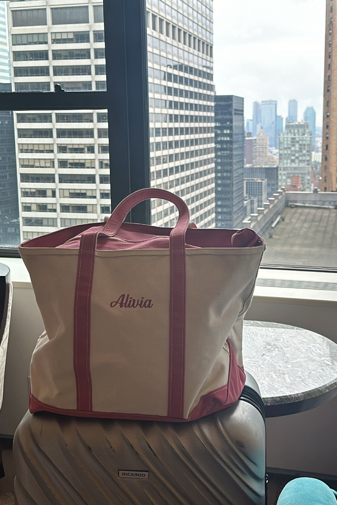 Zip Monogram Tote bag 