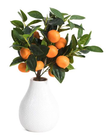 Mandarin Plant In Ceramic Vase | TJ Maxx