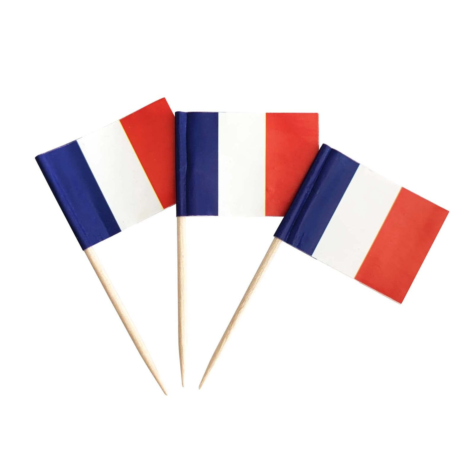 100 Pack French Flag France Toothpick Flags, Cocktail Picks Mini Stick Cupcake Toppers Country Picks Party Decoration Celebration Cocktail Food Bar Cake Flags (French) | Amazon (US)