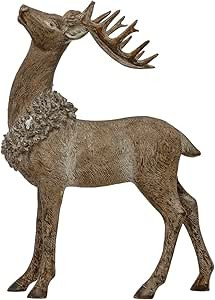 Visit the Creative Co-Op Store | Amazon (US)