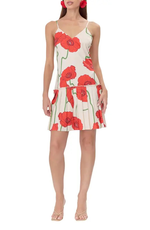 Adelyn Rae Camila Abstract Rose Print Minidress in Cream/Red at Nordstrom, Size Small | Nordstrom
