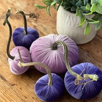 Set Of 5 Velvet Pumpkins With Real Stems - ""Purple Reign"" Set | Etsy (US)