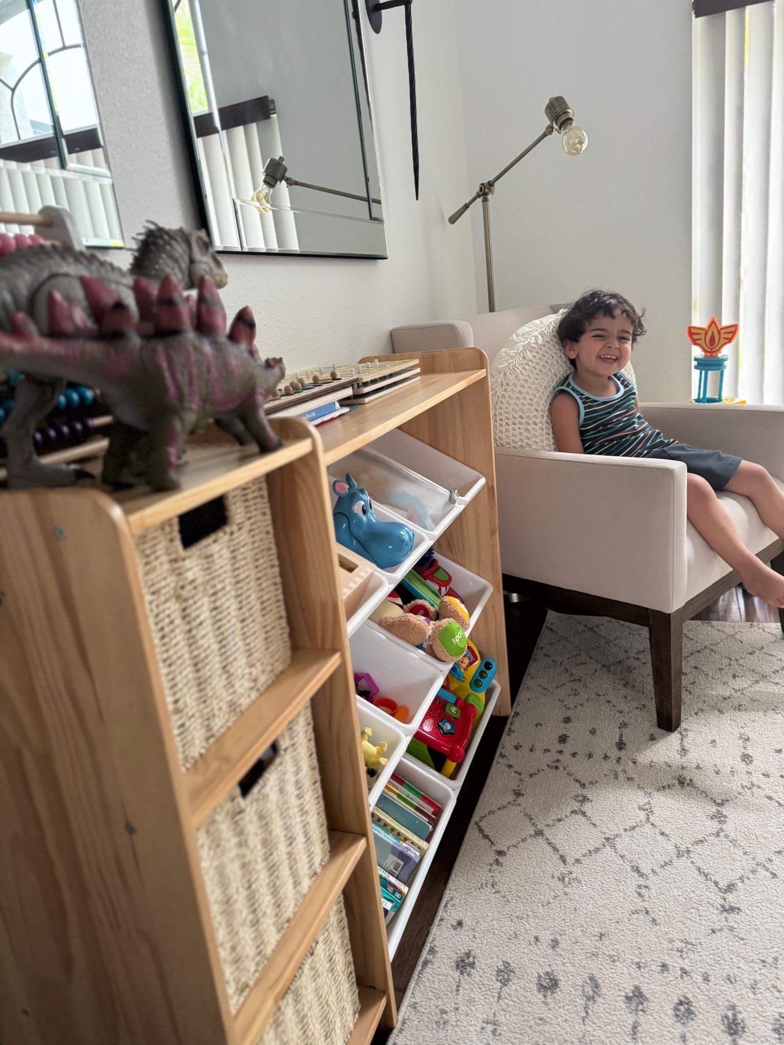 Toy Organization 🦖🧸

#LTKBaby #LTKKids #LTKHome