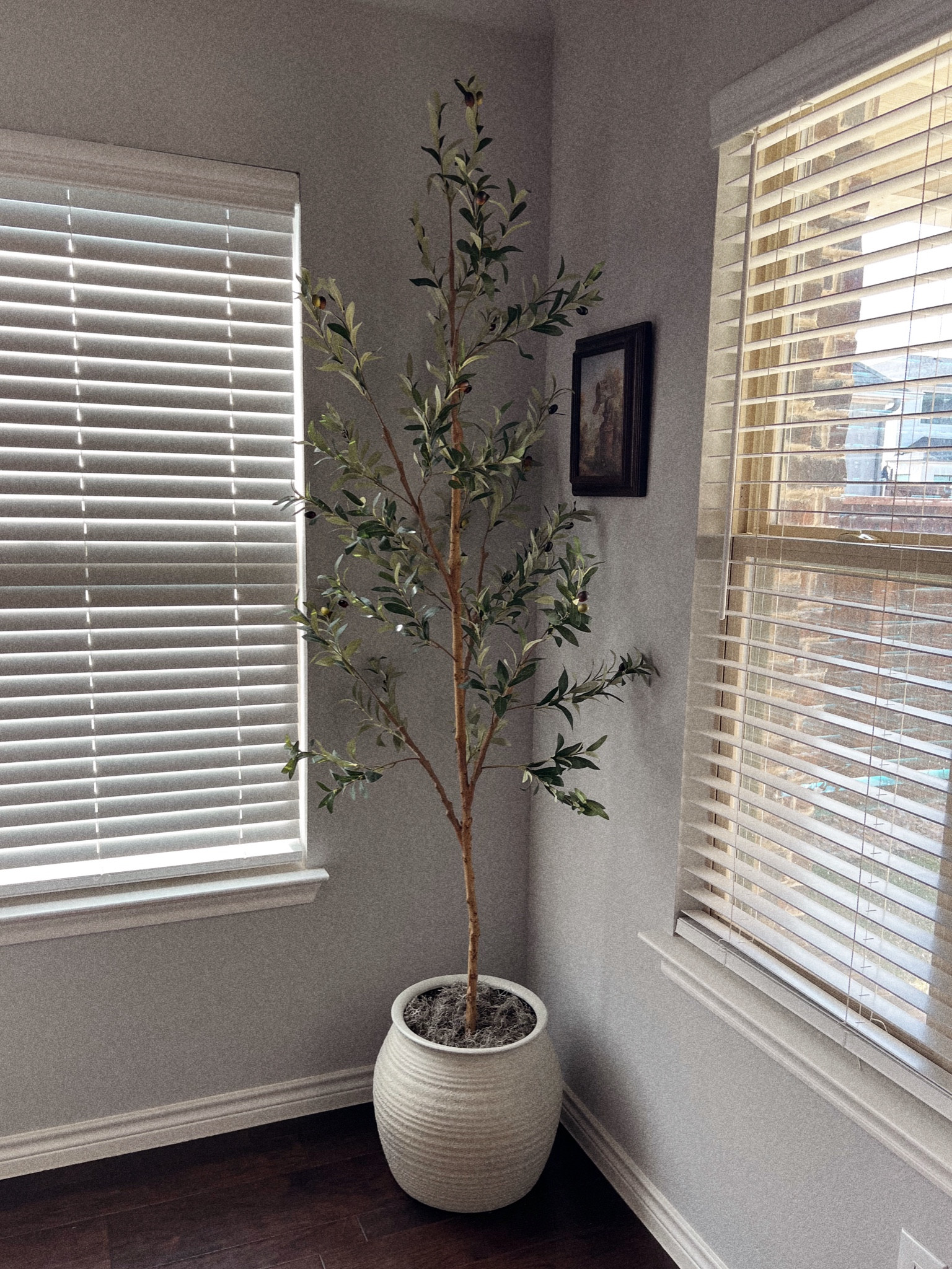 I found this amazing planter pot at Target and I am loving on it turned out! Very reasonably priced as well! The moss I bought at Hobby Lobby so I can’t link but I linked the olive tree as well! 


Planter pot, olive tree, home decor

#LTKHome #LTKFindsUnder50 #LTKStyleTip
