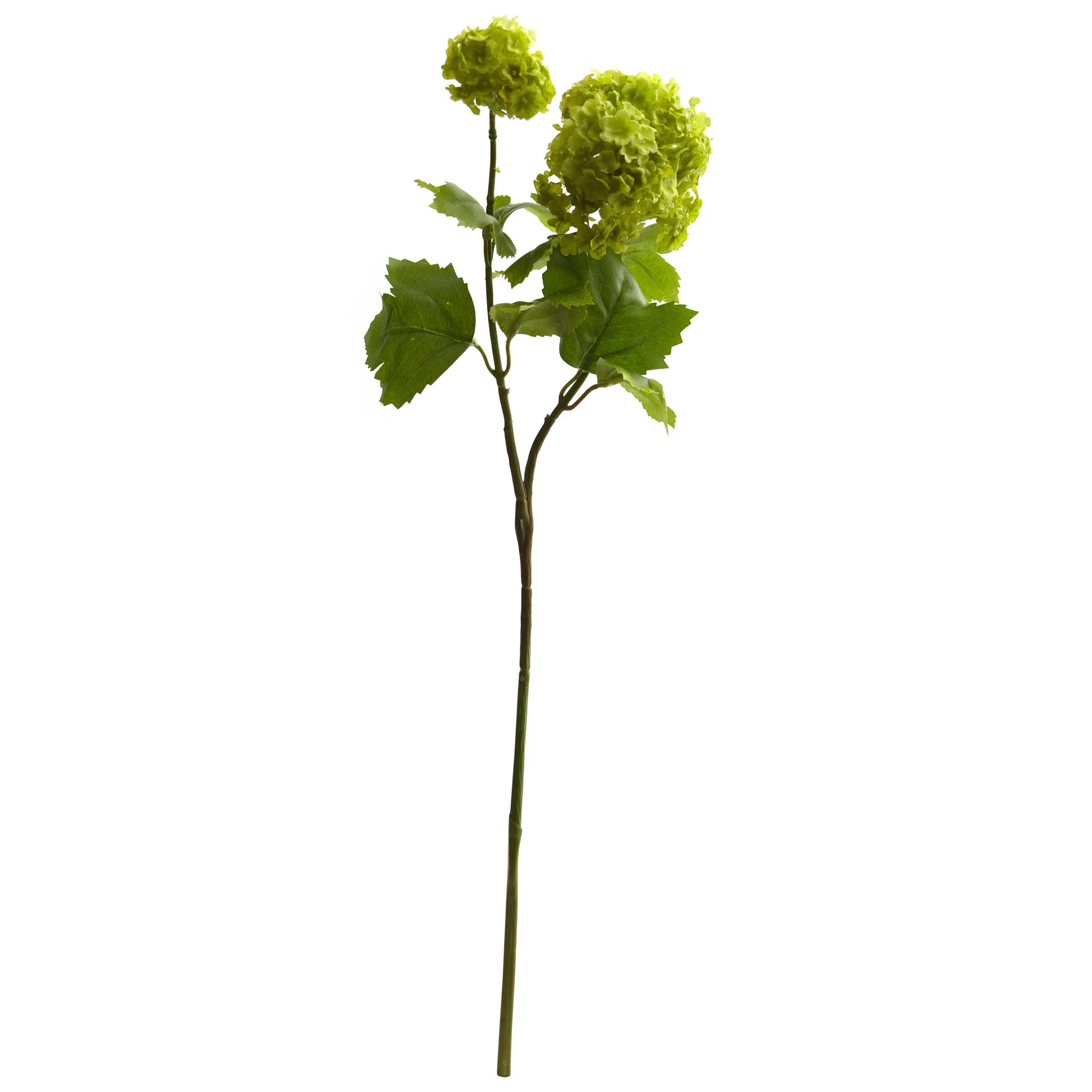 Hydrangea Arrangement (Set of 6) | Wayfair North America