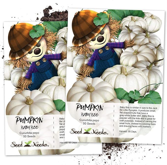 Seed Needs, Baby Boo Pumpkin (Cucurbita Pepo) Twin Pack of 50 Seeds Each Non-GMO | Amazon (US)