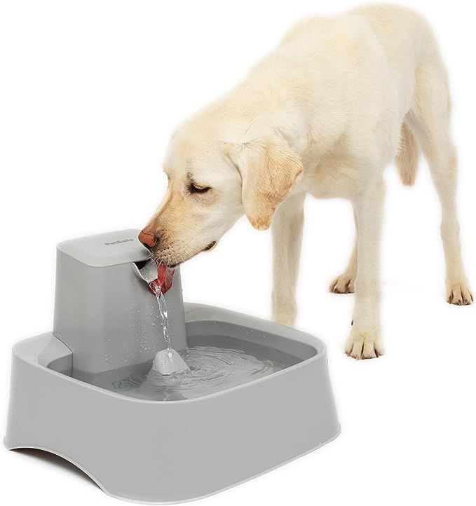 PetSafe Drinkwell Water Fountain for Cats, Dogs, or Multiple Pets - Automatic Water Bowl - Pump a... | Amazon (US)