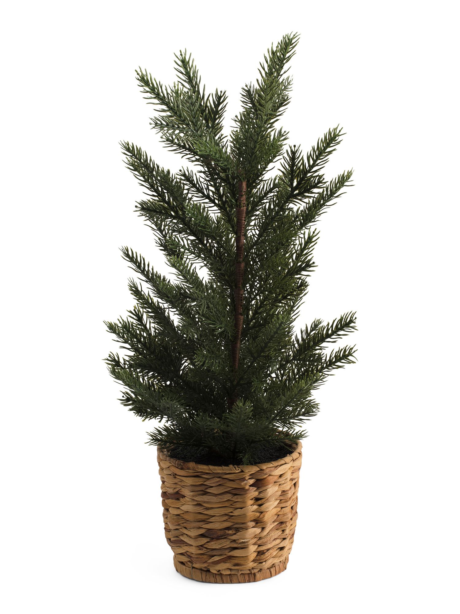 2ft Fir Tree In Footed Basket | TJ Maxx
