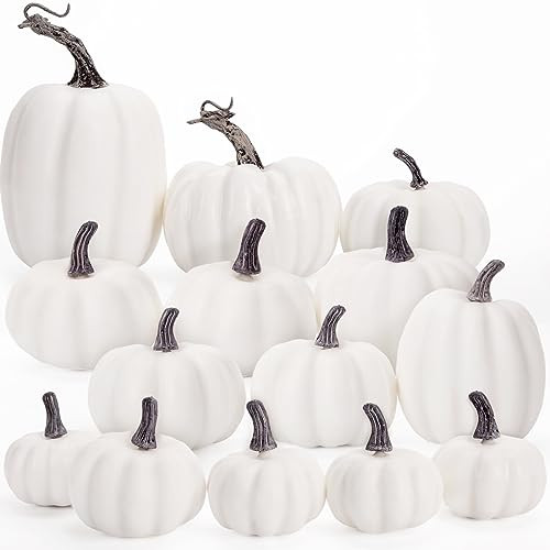 DomeStar 14PCS White Artificial Pumpkins, Assorted Sizes White Foam Pumpkins Large Faux White Pumpkins Bulk for DIY Decorating Fall Halloween Thanksgiving | Amazon (US)