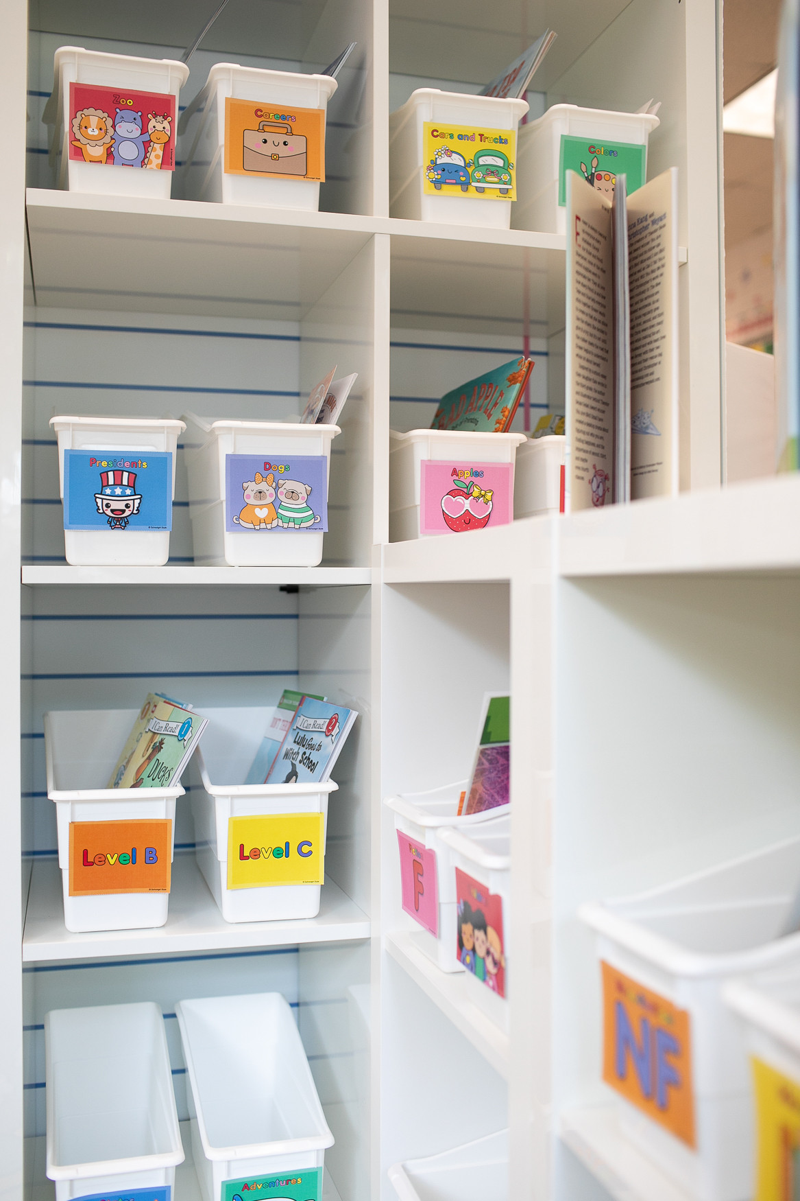 These bins from Amazon are the best for your classroom library! You can get the adorable labels from shopschoolgirlstyle.com ! 

 #LTKFindsUnder50 #LTKStyleTip