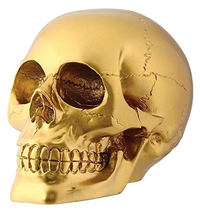 Gold Skull Head Collectible Skeleton Decoration Figurine | Amazon (US)